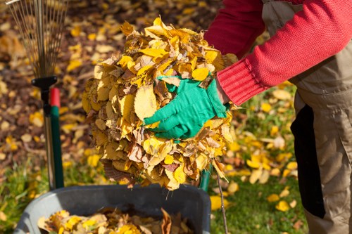 Innovative waste management solutions